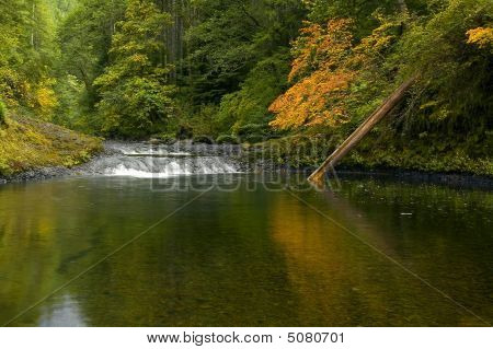 Herfst