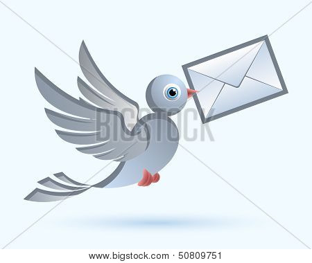 Homing Postal Pigeon
