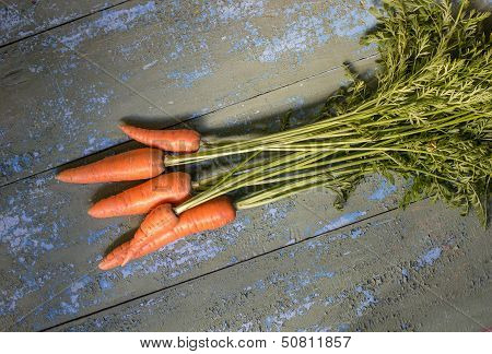 Carrot on the old boards