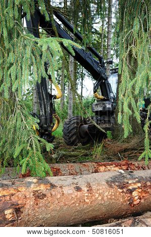 Cut Logs And Working Harvester