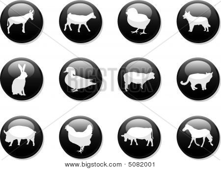 Farma zvířat tlačítka