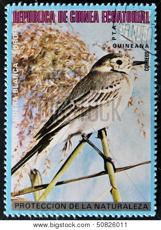 Equatorial Guinea - Circa 1979: A Stamp Printed In Equatorial Guinea Shows A White Wagtail