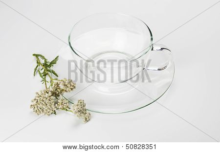 Glass tea cup and herbs