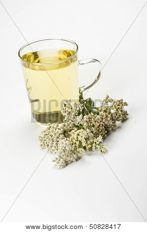 Herbal tea in a glass mug