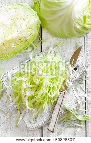 Cabbage
