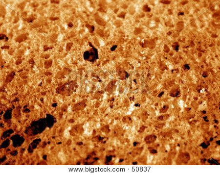 เนื้อฟองน้ำ