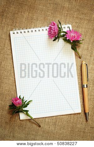Aster Flower Buds On A Notepad