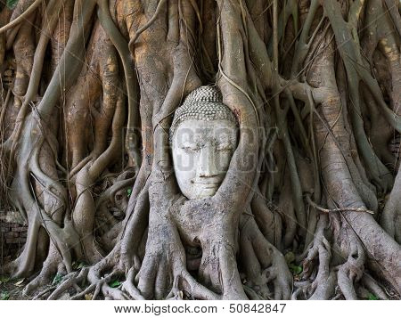 Buddha Statue In The Roots Of Tree At , Ayutthaya, Thailand