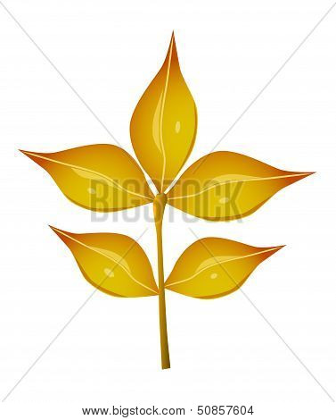 Autumn leaves.eps