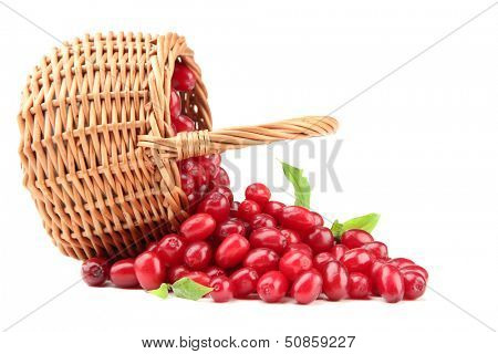 Fresh cornel berries in wicker basket, isolated on white
