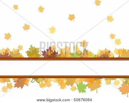 Autumn Leaves Background