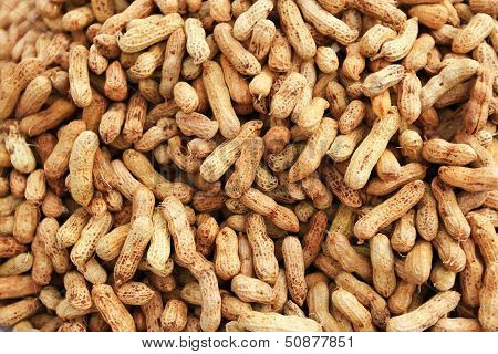 Peanuts