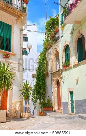 Alleyway. Rodi Garganico. Puglia. Italy.