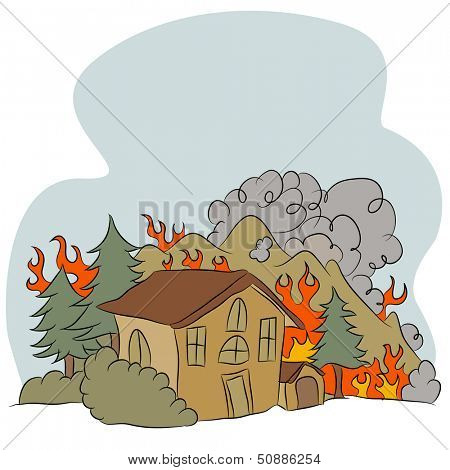 An image of an forest fire.