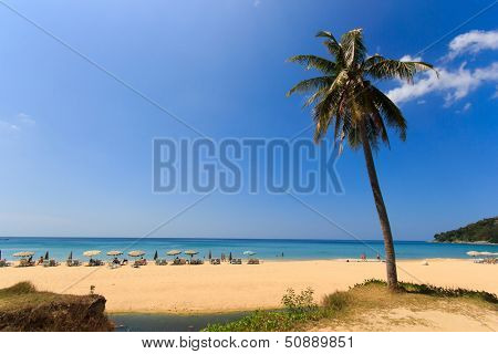 Beautiful beach of Patong in Phuket thailand