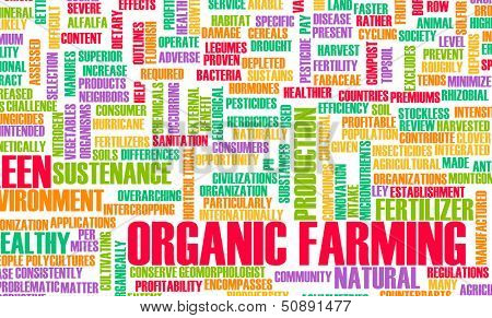 Organic Farming as a Concept for Sustenance