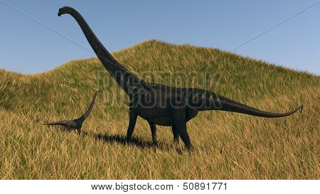 mamenchisaurus walks across grassy hills