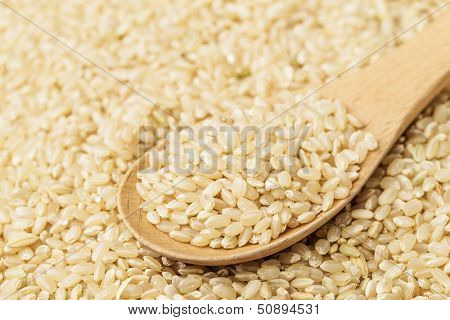 Brown rice and teaspoon