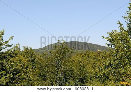 Crimean mountains