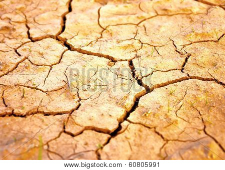 Dry Ground
