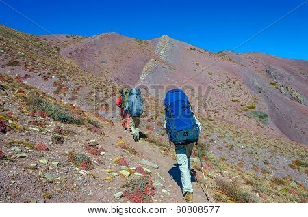 Group trekkers running on the road against Leh