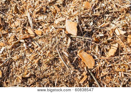 Closeup Of A Heap Of Small Wooden Pices After Shredding Trees