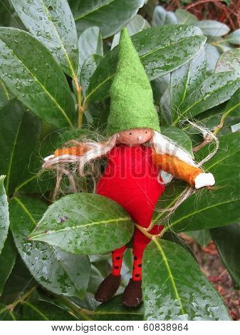 Forest elf
