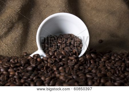 Coffee Beans