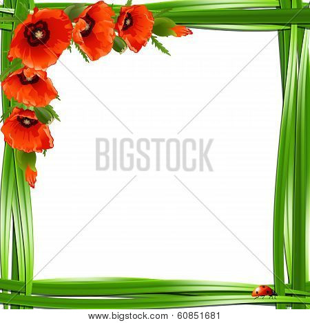 Floral frame