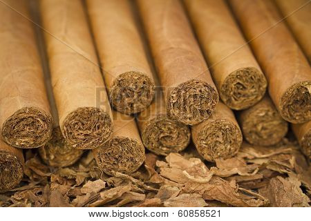 Cigars on Tobacco