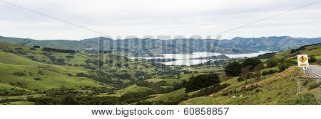 Coastline At Akaroa In New Zealand