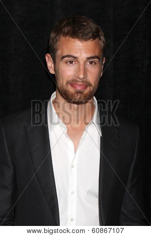 LOS ANGELES - FEB 28:  Theo James at the 2014 Publicist Luncheon at Beverly Wilshire Hotel on February 28, 2014 in Beverly Hills, CA