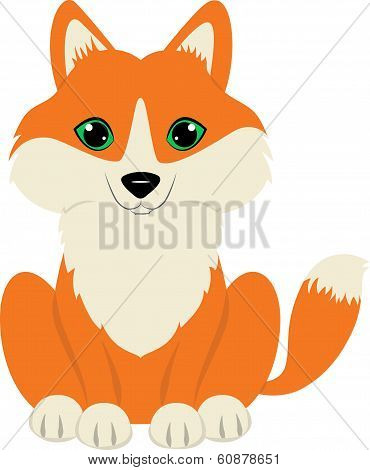 Fox