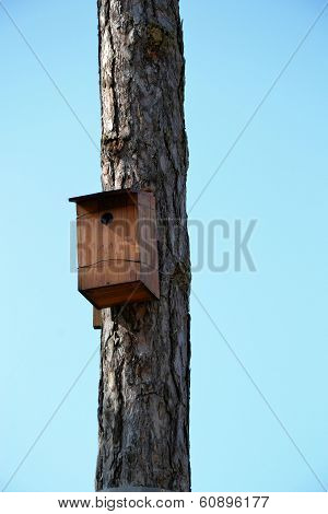 nesting box