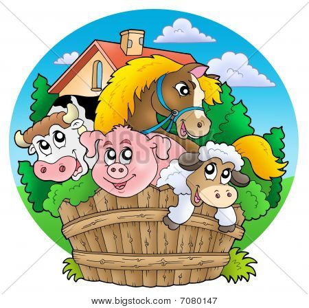 Grupo de animais do país
