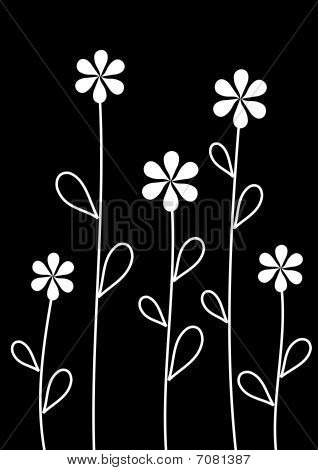 Flowers in the dark