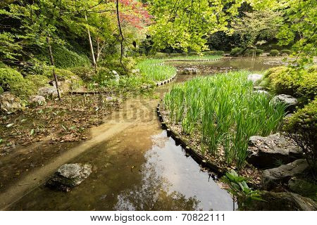 The garden with pond in Heian Jingu Shrine in Kyoto.