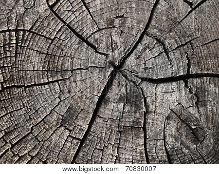 texture