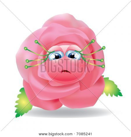 Rose melancholie.