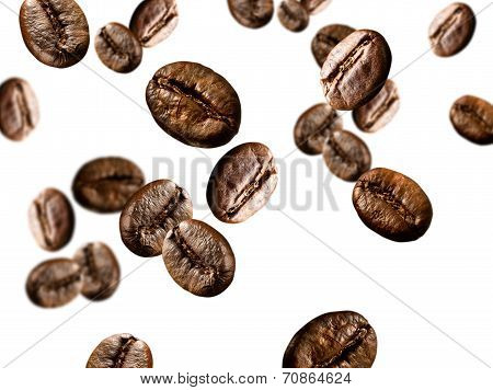 coffee beans