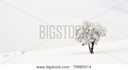 beautiful winter landscape in Sirnea, Romania