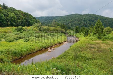 Shavers Fork