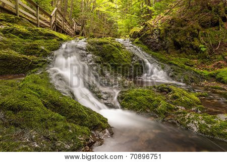 Small Creek In The Park