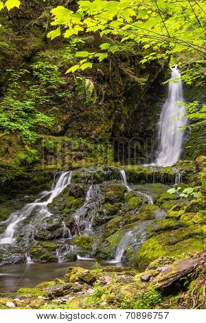 Dickson Falls (slow Shutter Speed)