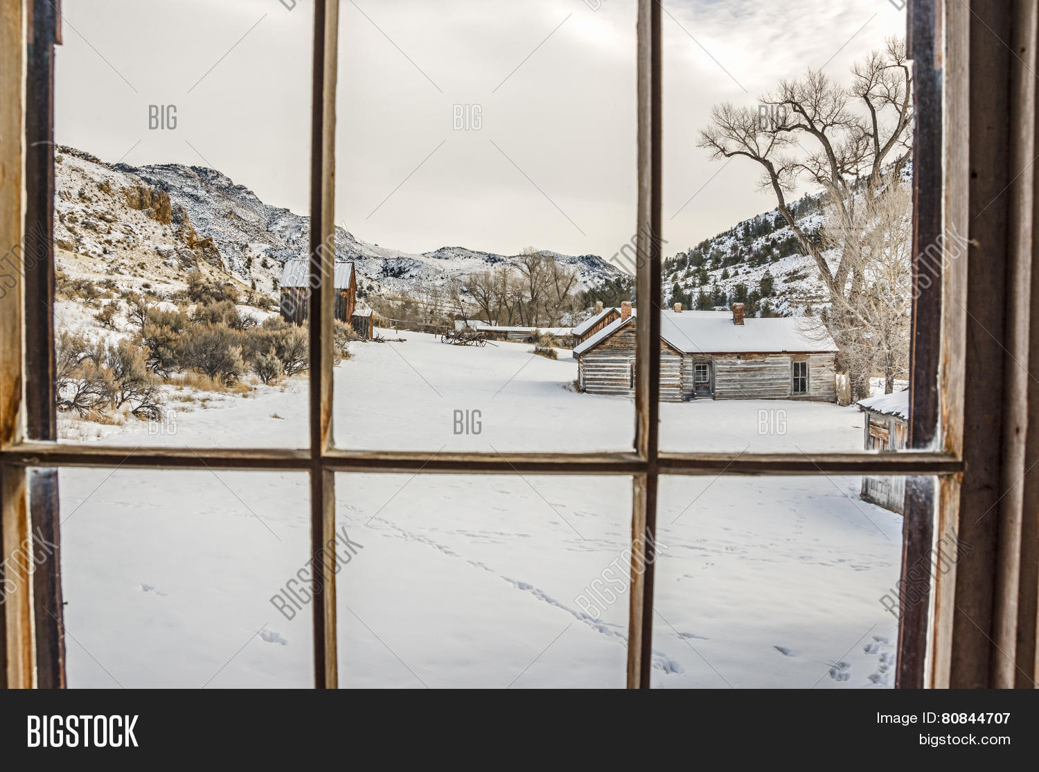Image Preview