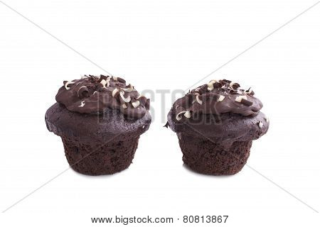 Chocolate Muffins