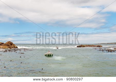 Crayfish Boats Arriving At Kleinmond Harbor.