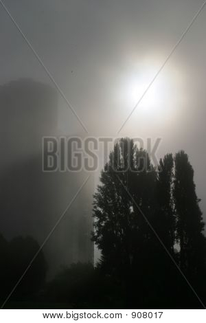Mattina nebbiosa