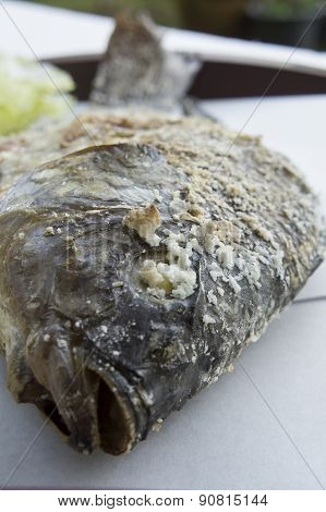 Fish Food Grill Meat Salt Chacoal Meal Concept