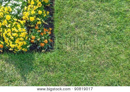 Flower Bed With Orange, Yellow & White Flowers Surrounded By Green Lawn